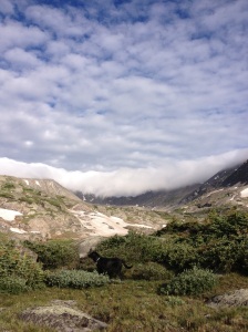 Pacific Peak covered by clouds and an alpine lake above Upper Mowhawk